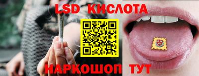 прущие крисы Бийск