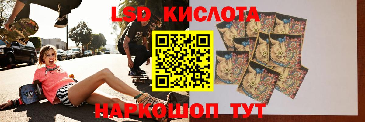 Камышлов  ЛСД экстази ecstasy  ЛСД экстази  Вход с VPN  Лсд 25 экстази ecstasy 