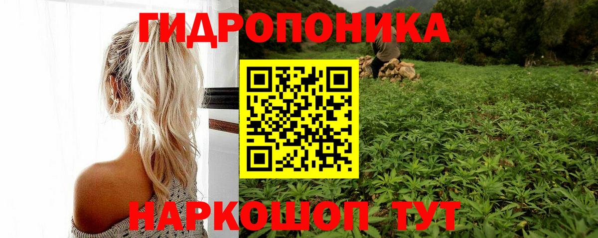 Камышлов  Бошки Шишки ГИДРОПОН  Шишки марихуана White Widow  Вход с VPN 